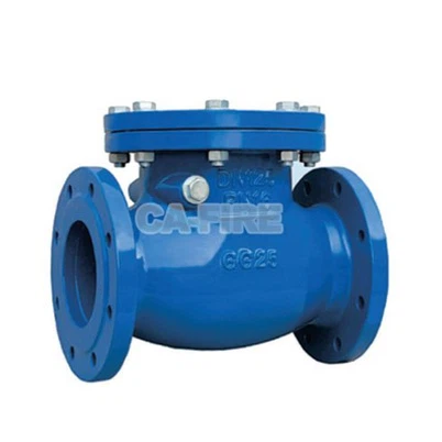 Ci Wafer Hom Check Valve