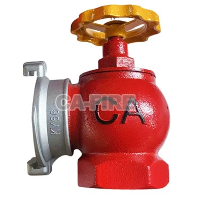 DN65 Hydrant Sab Hauv Tsev