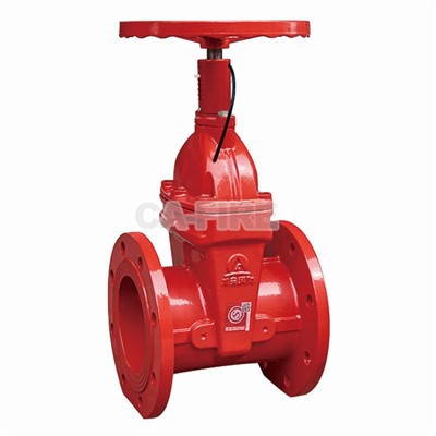 Rooj vag Valve Flanged
