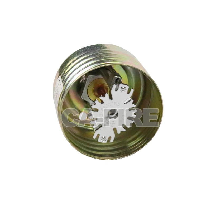 product-800-800