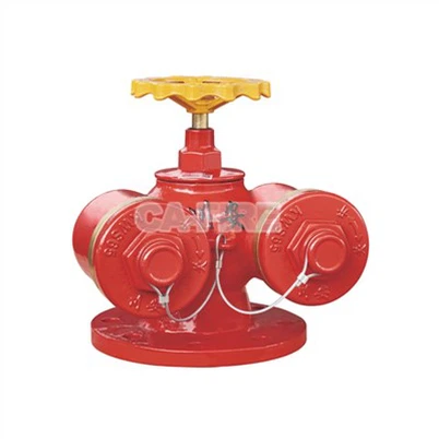 Phom Kua Sub Tawb & Kev Tawm Kev Txuas Rau Hluav Taws